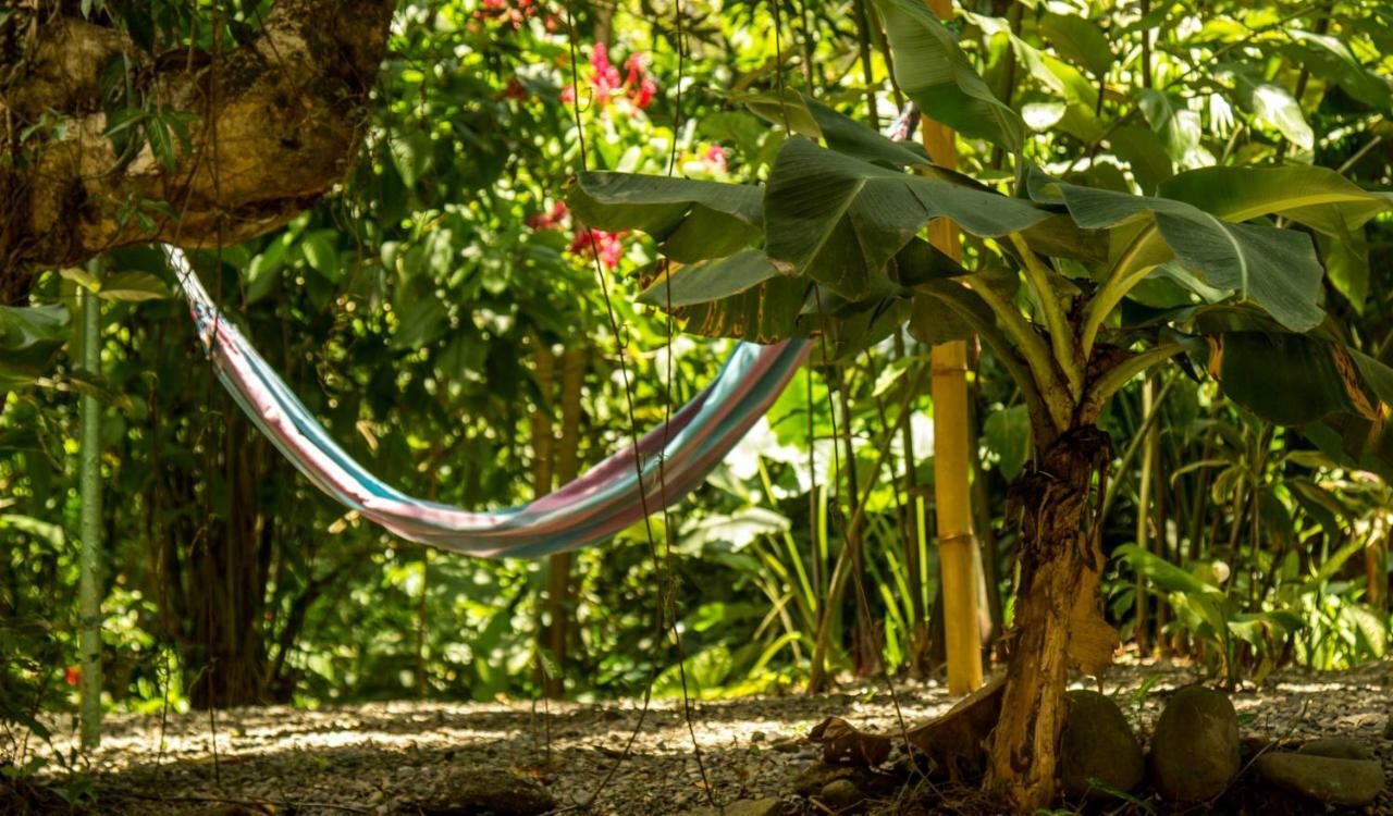 Casa Tucanes Manuel Antonio Εξωτερικό φωτογραφία